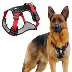 QpetsDog Harness, No-Pull Pet Harness with Safety Reflective Strip, Harness for Dogs Large Size, Control Handle Dog Belt Outdoor, Oxford Cloth Dog Vest Harness (Red, L, Suitable for 14-22.5kg)