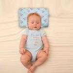 Kradyl Kroft Baby Head Shaping Pillow with 100% Cotton Removable Cover | Applr Biogen Foam Construct | New Born Pillow for Flat Head Prevention (Little Flamingo)