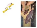 Birds' Park Henna (Mehandi) Reuseable Needle Plastic hub-6 pcs - Best Needle Ever Used for Best Result for Heena Lovers