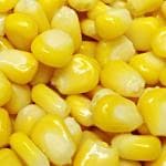 XOLDA Sweet corn Seed (43 per packet)