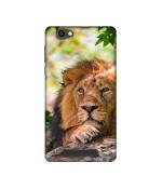 Casotec Tiger Pattern Print Design Printed Silicon Soft TPU Back Case Cover for XOLO Era 4G