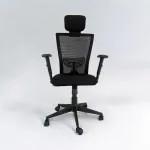 SHILPA CLASSIC Mesh High Back Office Chair | Adjustable Headrest & Fixed Lumbar Support for Comfort | 3D Armrest for Enhanced Support | Multi-Lock Synchro Mechanism for Custom Seating | Class 3 Hydraulic Height Adjustment