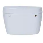 PARRYWARE SLIMLINE Series Polymer/PVC Single Flush system Exposed CISTERN/Flush Tank (White) | 10L, Right Side, Front Lever | For Western (WC) or Indian Commodes | E83481C