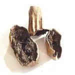 Xetomos Balam Kheera Balam khira Kigelia pinnata 100g. Other names are Sausage Tree, Common Sausage Tree, Jhar fanoos, Kigelia africana