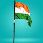 WIZERDY Stick to Flag Magic / Flag Appearing Wand Magic Trick (Plastic),Multicolor I