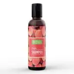Re:fresh Peach Shampoo 100 ML | Paraben Free Peach Fruit Shampoo For Healthy Scalp, Suitable For All Hair Types | 2 Packs of 50ml