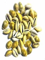 OYMYAKON lootnixx Iron Yantra (Pack of 2)