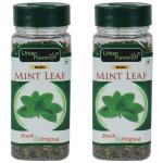Urban Flavorz Mint Leaf (12gm) x 2| Combo Pack
