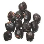 Xetomos Bhilawa Biba Semecarpus anacardium linn Seeds 100g