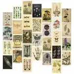 Kitty Cat Vintage Aesthetic Wall Collage Kit || 30 Unique Poster Set + Free Tape, 4x6in Each, Posters: Dorm, Bedroom Decor, Hostel Essential, Aesthetic Room Decor (Vintage)