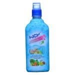 HICY Germicidal Baby Feeding Bottle & Accessories Cleanser (500 ml)