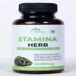 WeWay Stamina Herb | Promotes overall well being | 1000mg | 60 capsules | Pack of 3