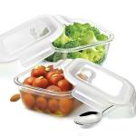 Treo By Milton Store Fresh Square Glass Storage Container, Set of 2, 665 ml Each, Transparent | Microwave Safe | Dishwasher Safe | Food Safe | Scratch Resistant | Refrigerator Safe