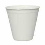 Deera White Disposable Biodegradable Sugarcane Bagasse Water Cups 350 ml - 50 Pcs