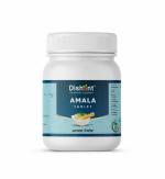 DISHANT Amla Tablet 120tab (PACK OF 03)