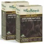byPureNaturals 100% Organic Powder Dark Brown Hair Color for Men & Women 120Gm Pack of 2