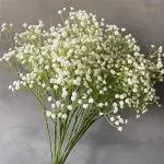 Elemntl Artificial White Baby's Breath Fower Sticks (Pack Of 3)
