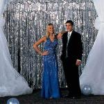 sv traders Metallic Silver Foil Curtain Fringe Plastic Door Curtains Set of 4 (3 x 6 ft)