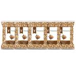 Trinetra Pista (Pistachios) 100gm Each (Pack of 5) 500g