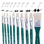 Mont Marte Art Paint Brushes Set for Painting, 10 Variety of Brushes Types for Class, Kids, Artists Hog Bristle Brush Set for Oil Painting