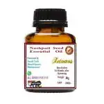 Xetomos Nashpati Seed Essential Oil 30 ml Pyrus communis, Pear, Common Pear, Nashpati,Naspati,Salvag, Berikaya, Beripandu, Perthei