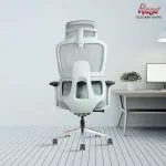 Rose Designer Chairs Canary Premium Office Chair | High Back | Mesh Ergonomic Home Office Desk Chair with 4D Adjustable Armrests | Auto Wight Mechansim | Ideal for Adults & Work Professionals (Grey)