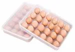 ULTRAZONInditradition Clear Plastic Egg Storage Box