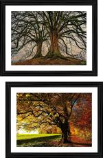 DECOR ADVENTURES Jungle Trees- Nature Theme Wall Painting 14 x 18 inch (Pack of 2)