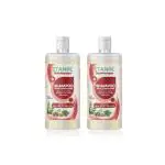 Etanol Ayurvedic Shampoo with Conditioner 100% Natural 500ML Pack of 2