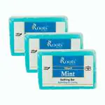 Roots Botanix Luxury Soap| Daily Bathing Soap For Women and Men | 100% Natural Homemade| Combo Offer| Bathing Bar (Mint Soap 125 Gram Pack 3)