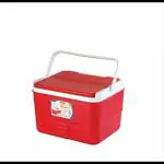Aristo Insulated Chiller Ice Box | Standard Size for Travel Party Bar Ice Cubes | Cold Drinks | Medical Purpose |2.5 Litre |Color May Vary
