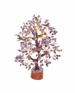 M/S SAINI AND SONS Bonsai Money Tree - 10-12 Inch