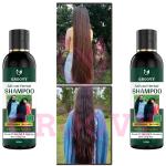 AYUSH ADIVASI HERBAL AYURVEDA shampoo for hair 100ml+100ML PACK OF 2