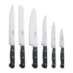 Godrej Cartini Stainless Steel Professional Knife Set 6 pcs
