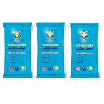 Greenshield Anti-Bacterial Handy Wipes 15's Pack of 3