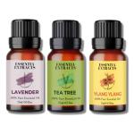 Essentia Extracts Combo of Lavender, Tea Tree and Ylang Ylang Essential Oil, 45ML (3*15ML)