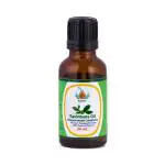 KUNJ Ravintsara Essential Oil (Cinamomum camphora) 100% Pure & Natural Undiluted Therapeutic Grade. Steam Distilled. For Aromatherapy. 30ML