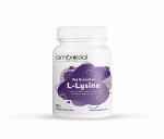 Ambrosial L-lysine Supplement High Strength 500mg per Capsule | Immune Support & Supports Collagen Synthesis | Essential Amino Acids for Active Lifestyle (Pack of 1-60 Capsules)