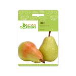 National Gardens Indian Pear Fruit Seeds (2 Nos)