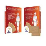 MENDWELL Capsicum Patch, Pain Relieving Plaster for Wrist, Hands, Shoulder, Back, Hip, Feet, Knee, Leg, Ankle Pack of 2