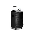 Impex TS 1101 100 Watts Bluetooth Trolley Speaker with USB/SD/FM Radio/AUX/MIC& DJ LED Light