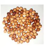 PMW-Natural Yellow Gunja 51 Pieces Yellow Jequirity Seeds PILI Gunja Chirmi Beads-CHANOTHI-Guri GUNJA - LATUMONI - GUMCHI - CRABSEYE