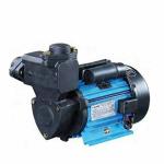 V-Guard Store Iron 1 H.P Nova Series Pumps