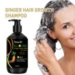 SOMWRITA Ginger Black Hair Growth & Healthy Hair Shampoo | Ginger Anti-Dandruff Shampoo For Healthy Scalp & Hair | Damage Repairs | Ginger Shampoo for Men & Women - pack of 1 [300ml].