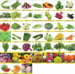 Countgreen Plus Vegetable Seeds, 3000 Per Packet