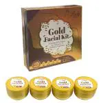 Blu Lady Gold Facial Kit Premium Range For Fairness, Whiting, Skin, Instant Glow, Way to use facial kit, Fairness, Whitening, Skin, Instant Result Without Damage Skin (100G)