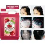 B&B BLISS & BLUSH Apple CIider Vinegar Conditioning Shampoo For Smooth And Silky Hair 1 ltr