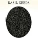 Tamransh Kotaliya Basil Seeds, Sabja Tree 100 Seeds
