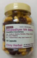Polypodium DH Herbal Supplement Capsules 120 Caps Jar - DoctorKC Herbal