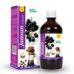 Basic Ayurveda Jamun Vinegar Organic With Mother 450 ml Pack of 4